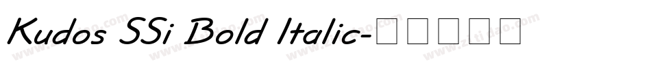 Kudos SSi Bold Italic字体转换